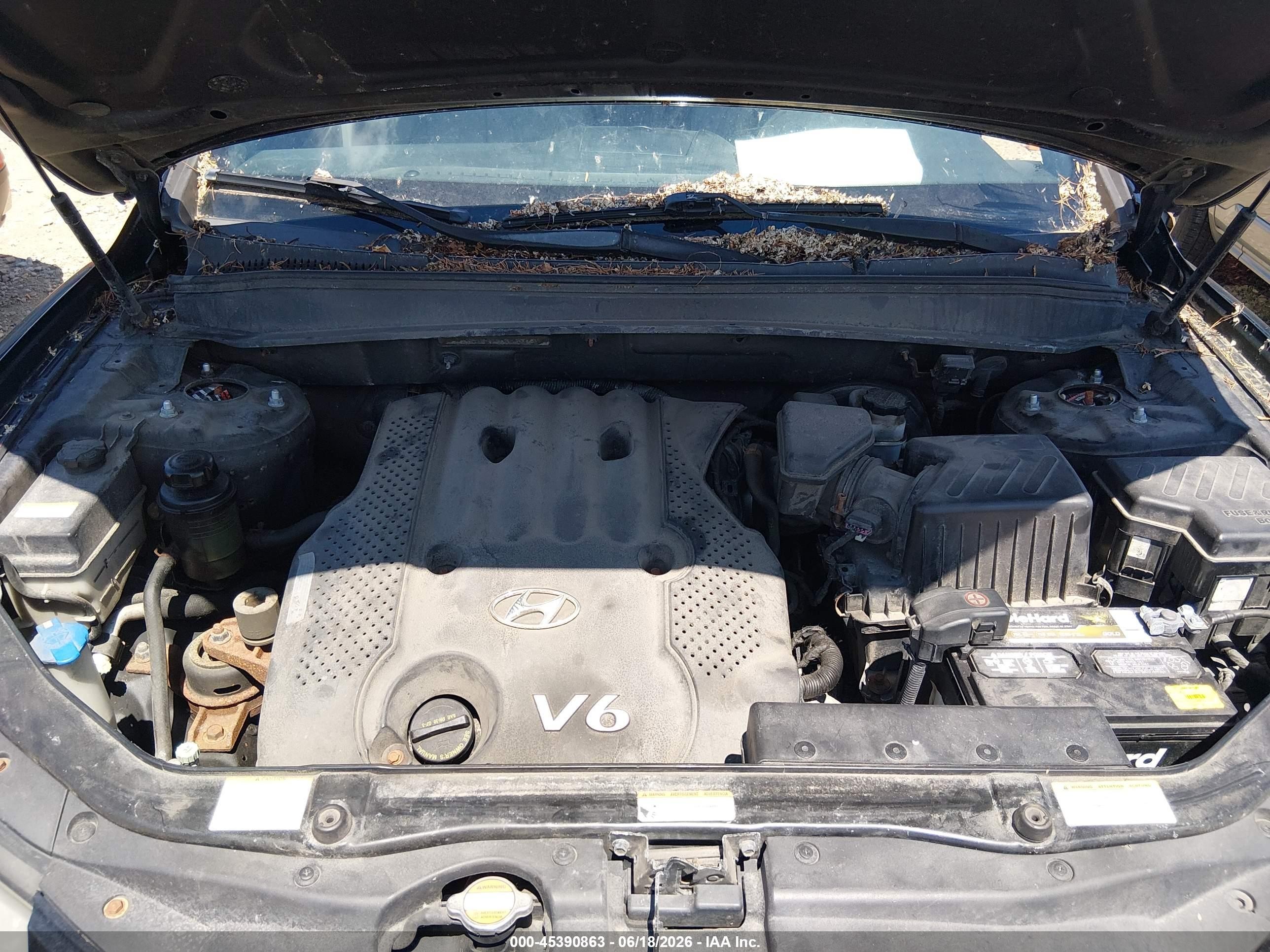 2007 Hyundai Santa Fe Gls vin: 5NMSG13D17H113748