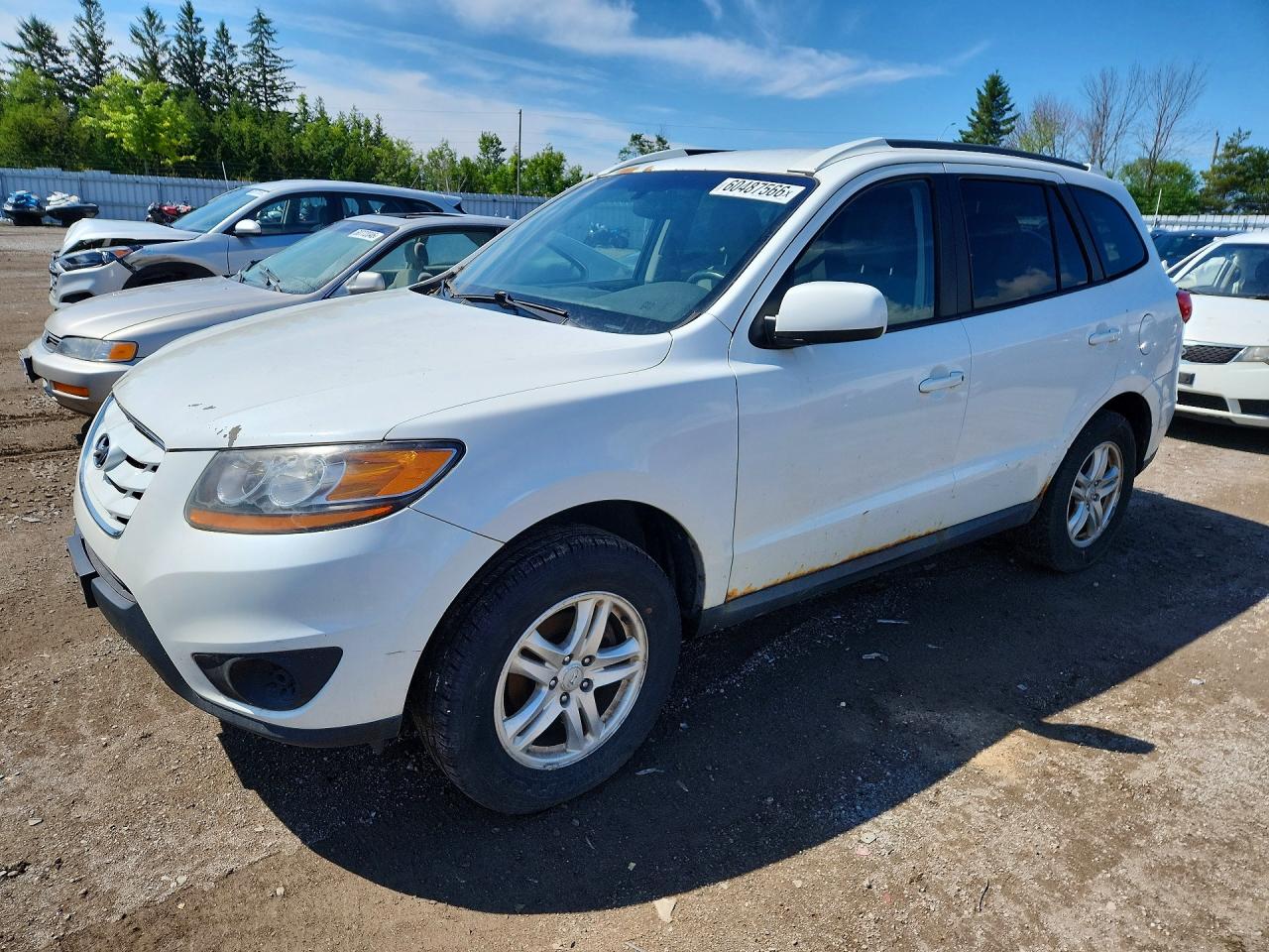 2010 Hyundai Santa Fe Gls Белый vin: 5NMSG3AB7AH363080