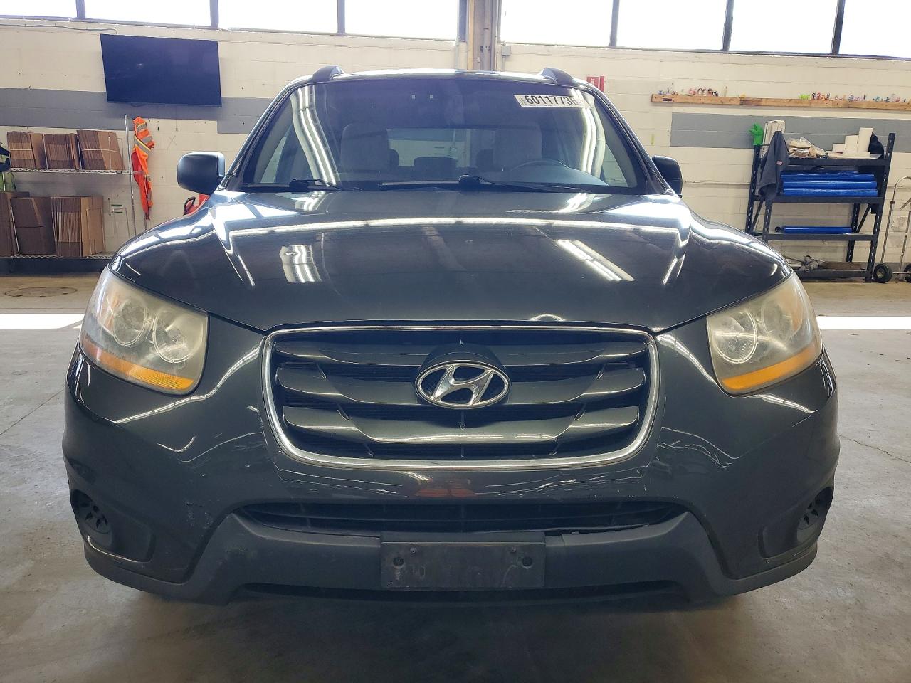 2010 Hyundai Santa Fe Gls Green vin: 5NMSGDAB8AH384574