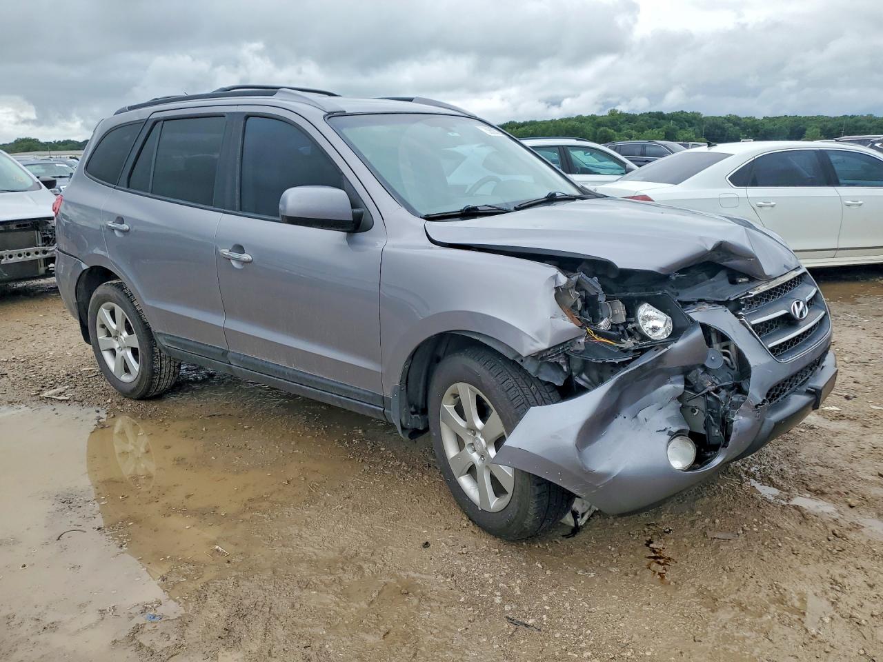 2007 Hyundai Santa Fe Se Silver vin: 5NMSH13E17H073631