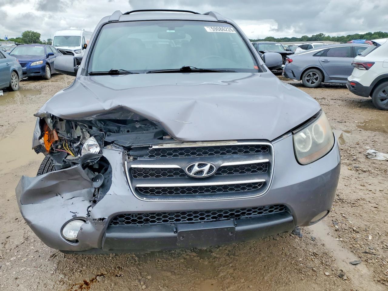 2007 Hyundai Santa Fe Se Silver vin: 5NMSH13E17H073631