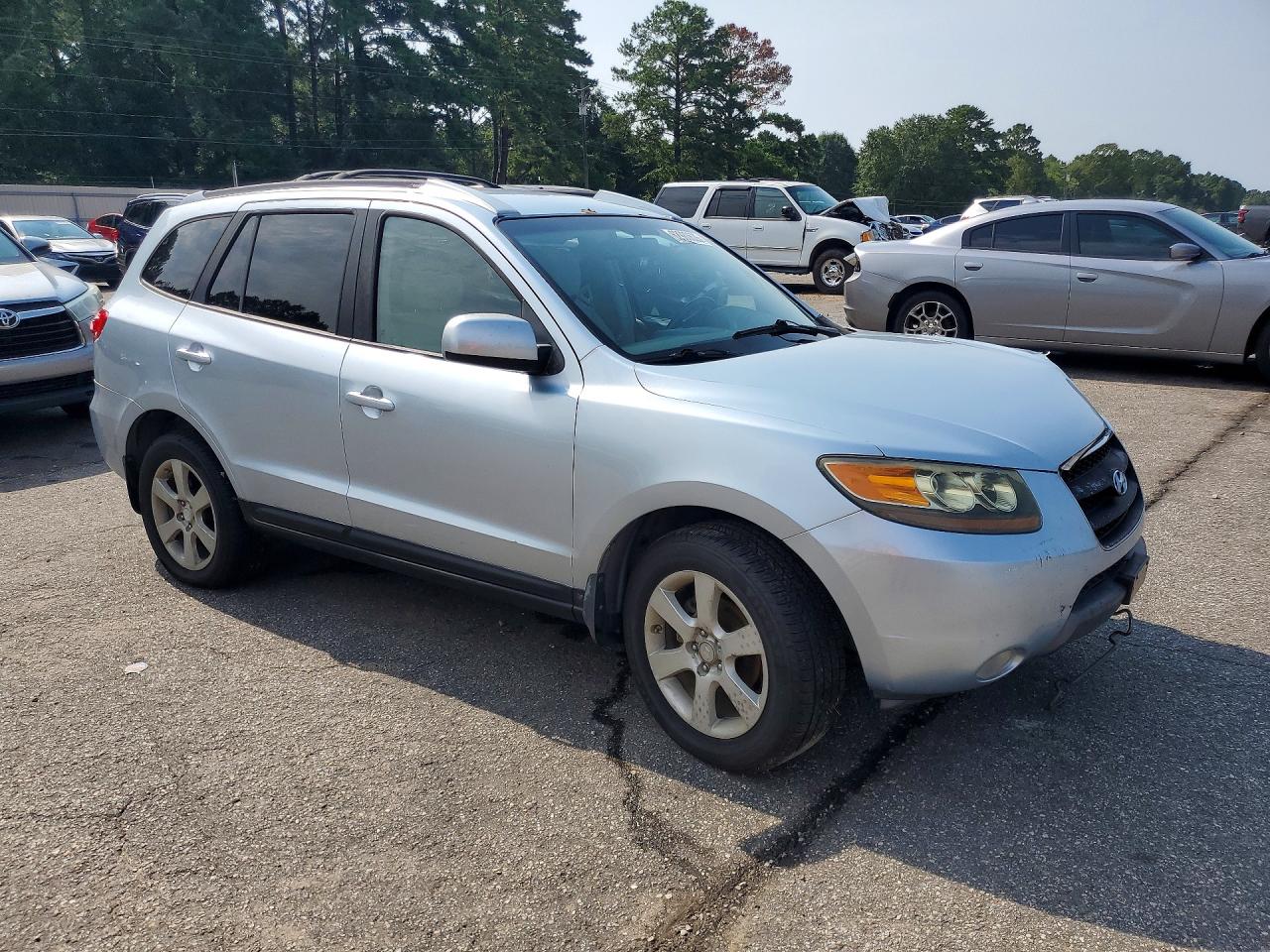 2007 Hyundai Santa Fe Se Blue vin: 5NMSH13E27H008125