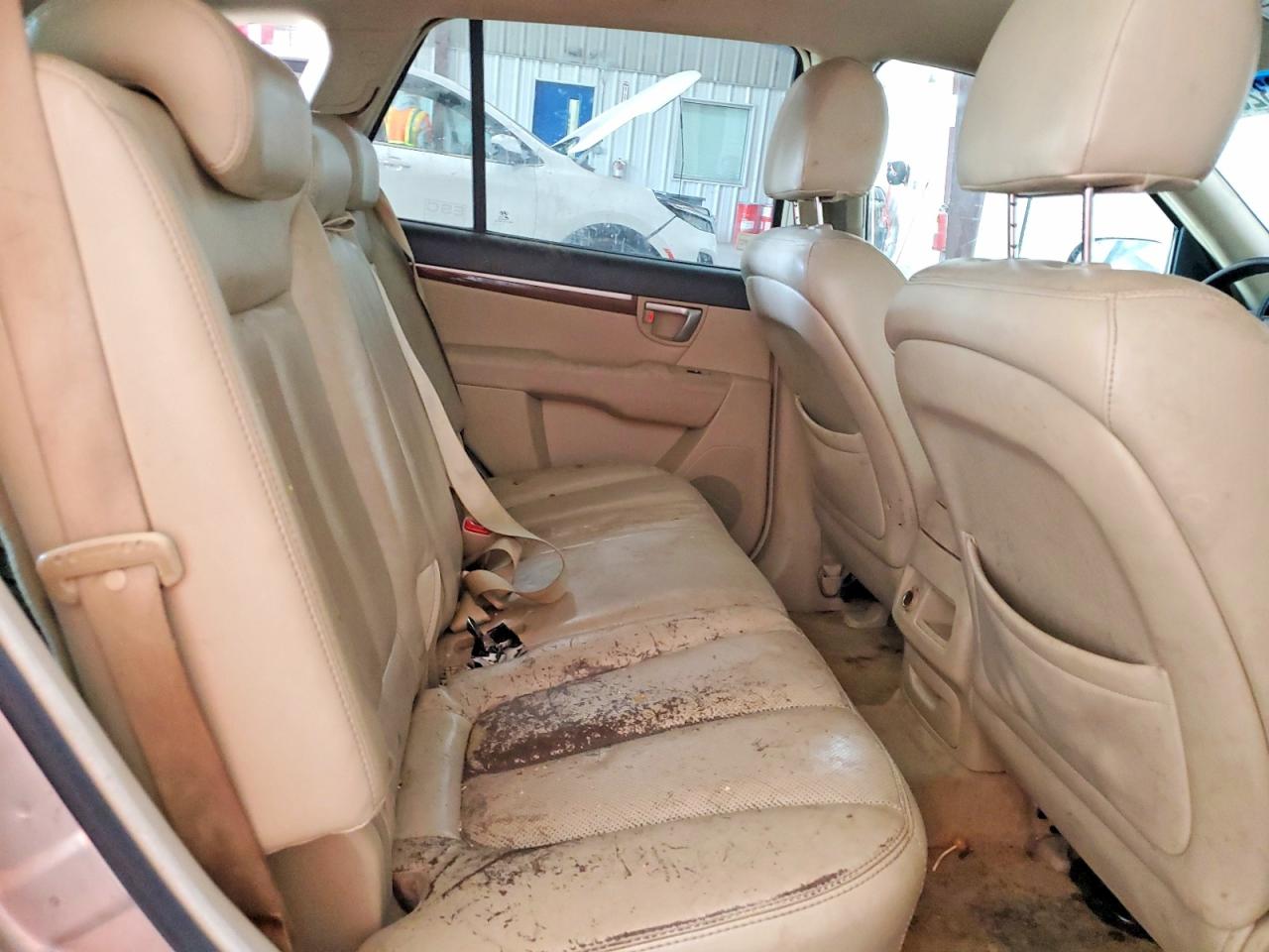 2007 Hyundai Santa Fe Beige vin: 5NMSH13E27H037916