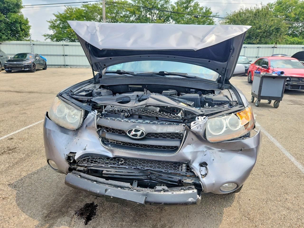 2007 Hyundai Santa Fe Se Silver vin: 5NMSH13E27H080071