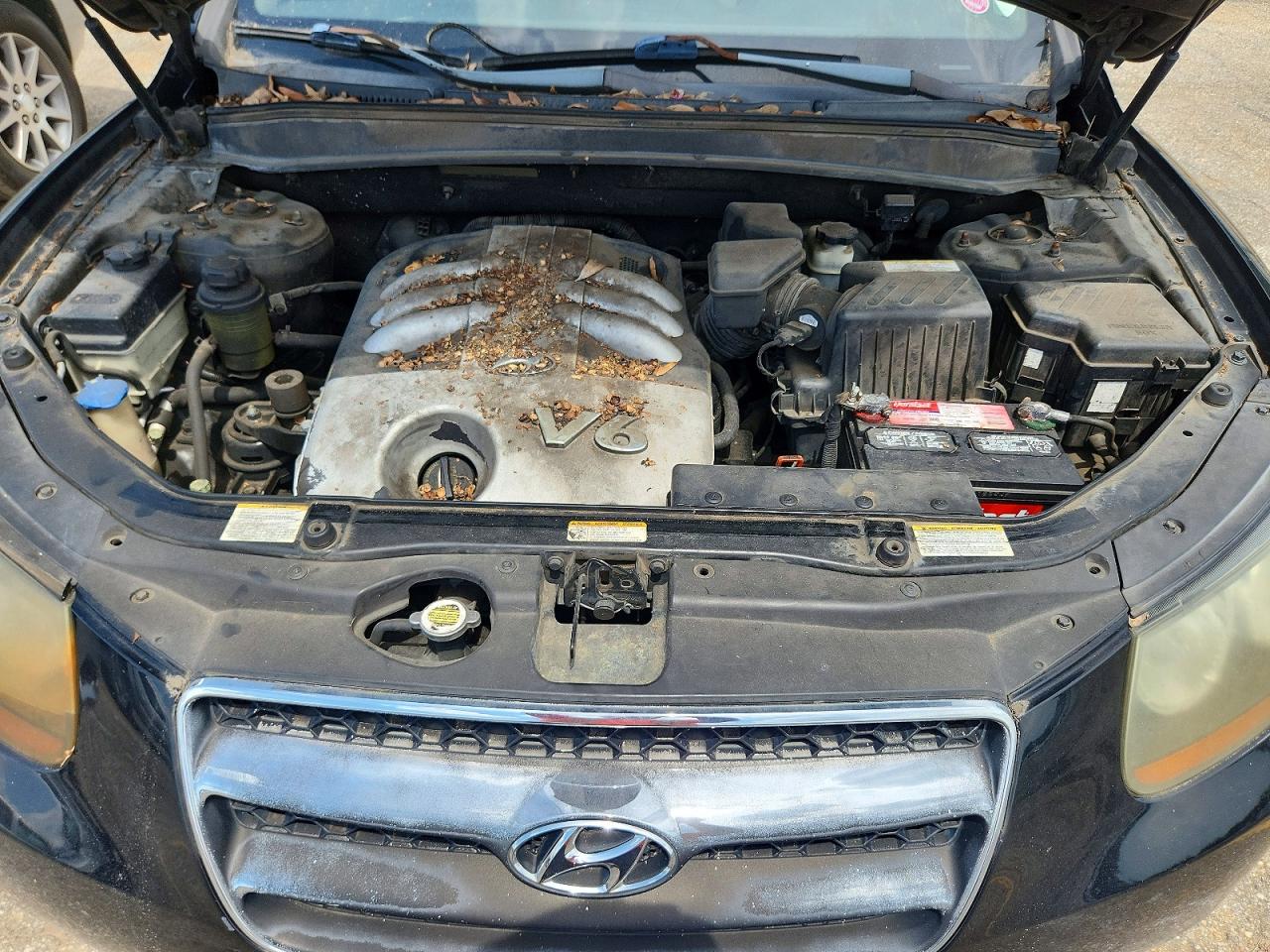 2007 Hyundai Santa Fe Se Black vin: 5NMSH13E37H084226