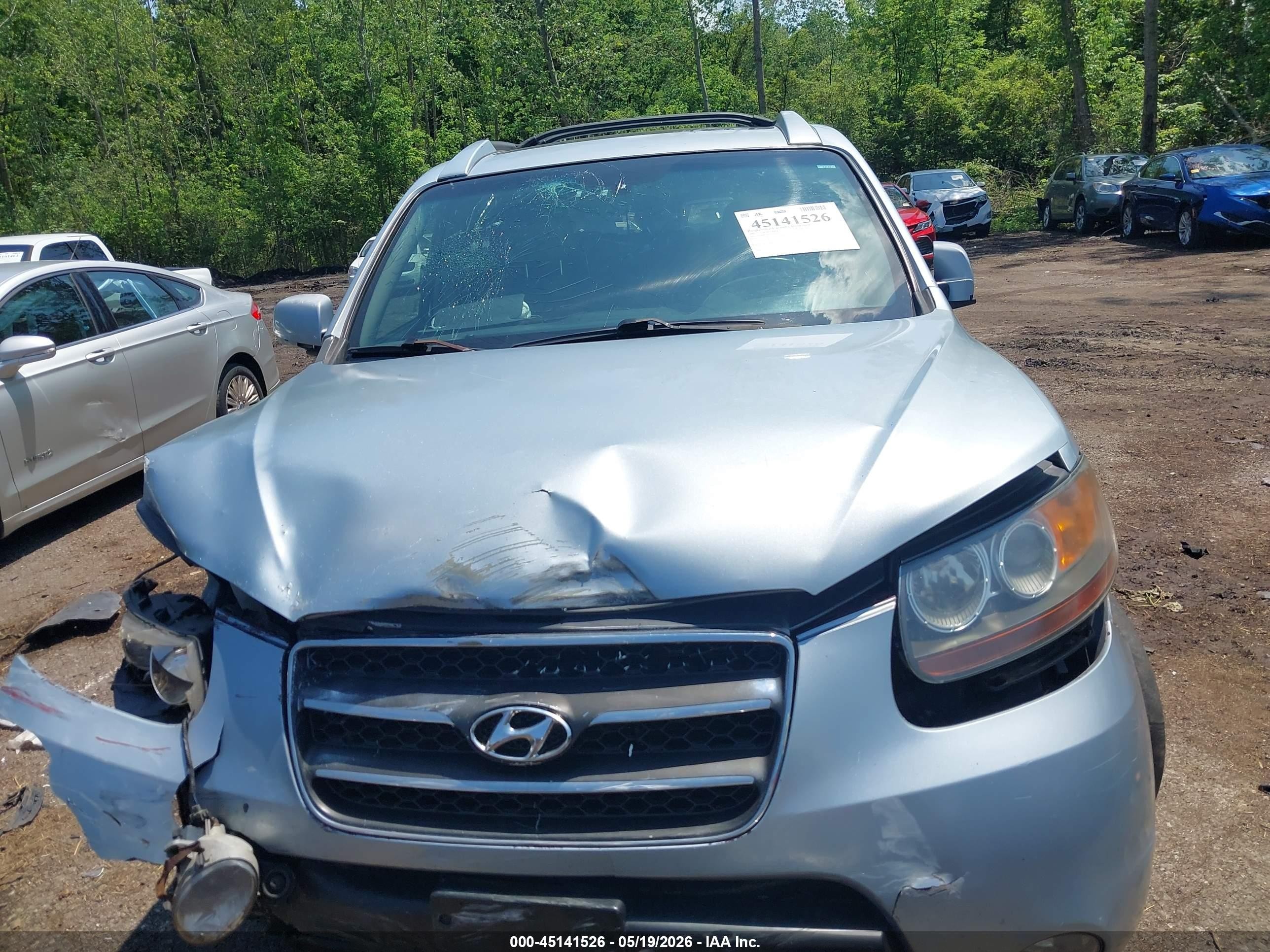2007 Hyundai Santa Fe Limited/se Серый vin: 5NMSH13E47H043698