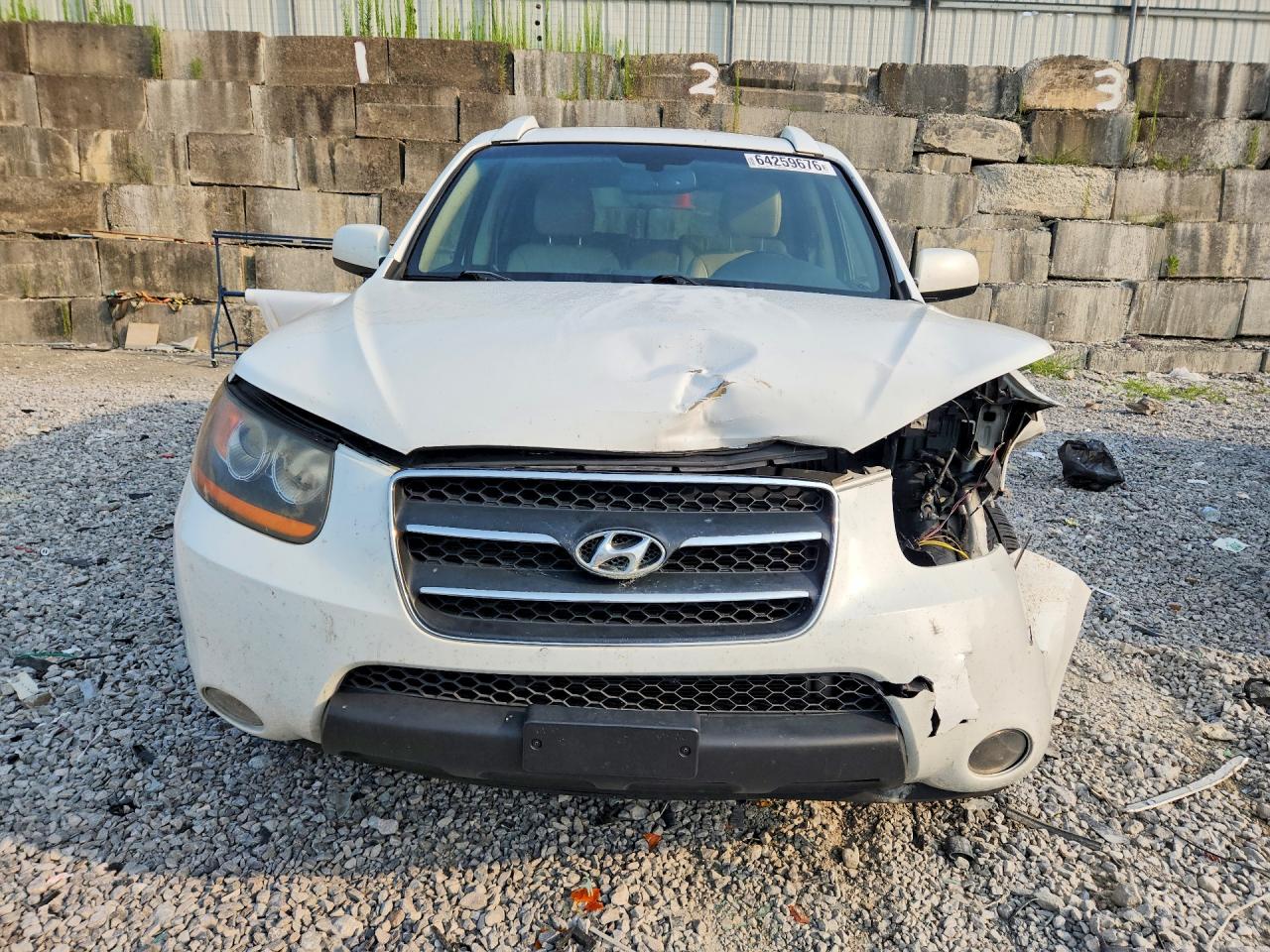 2008 Hyundai Santa Fe Se Белый vin: 5NMSH13E48H214578