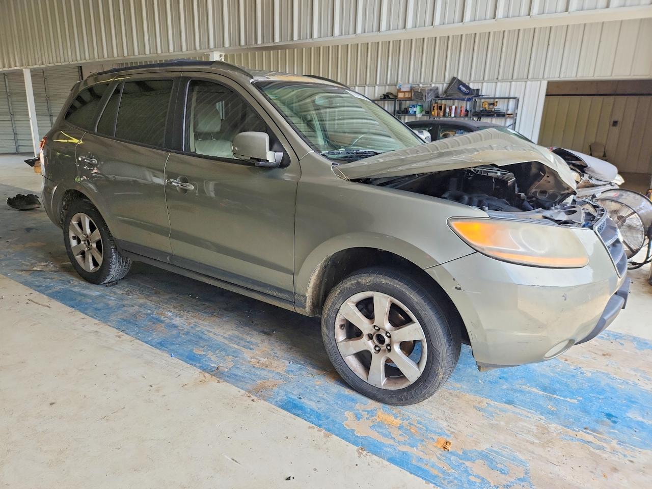 2009 Hyundai Santa Fe Limited Tan vin: 5NMSH13E49H244892