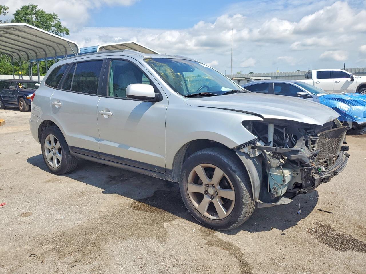 2007 Hyundai Santa Fe Se Silver vin: 5NMSH13E87H089504