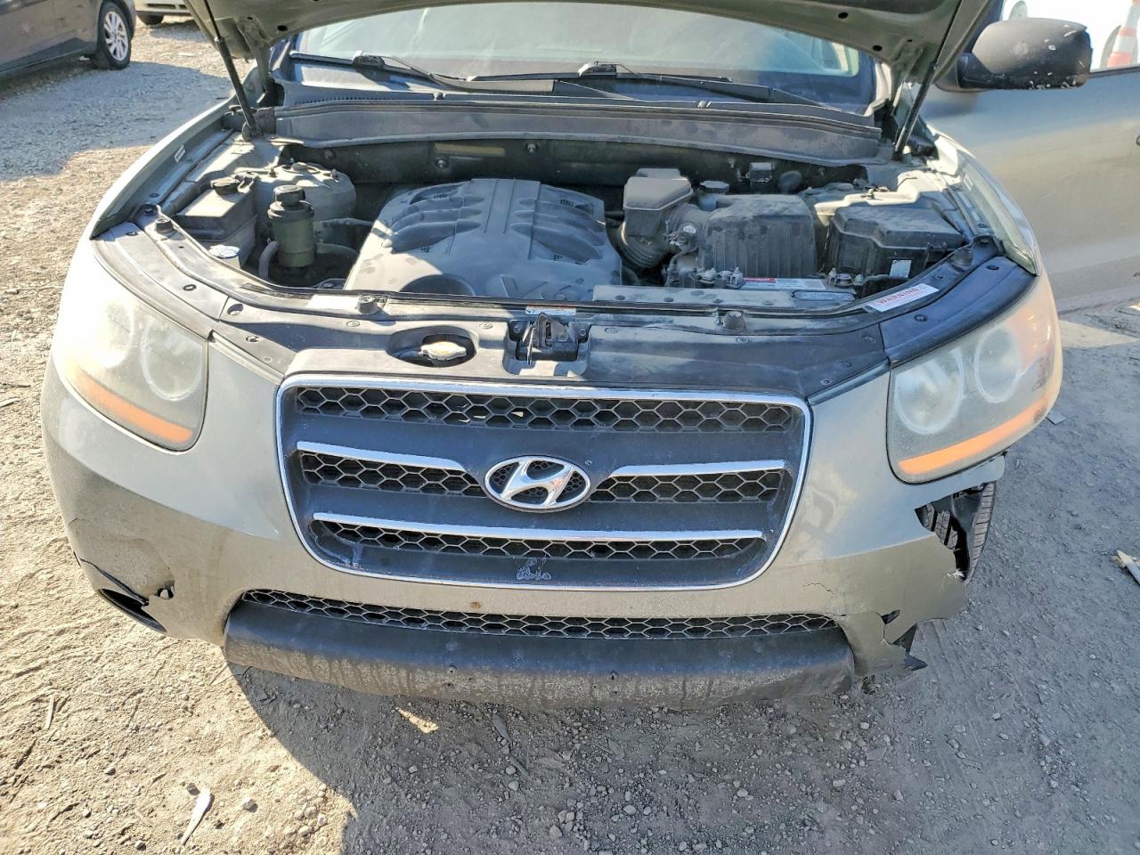 2009 Hyundai Santa Fe Tan vin: 5NMSH13E89H269021