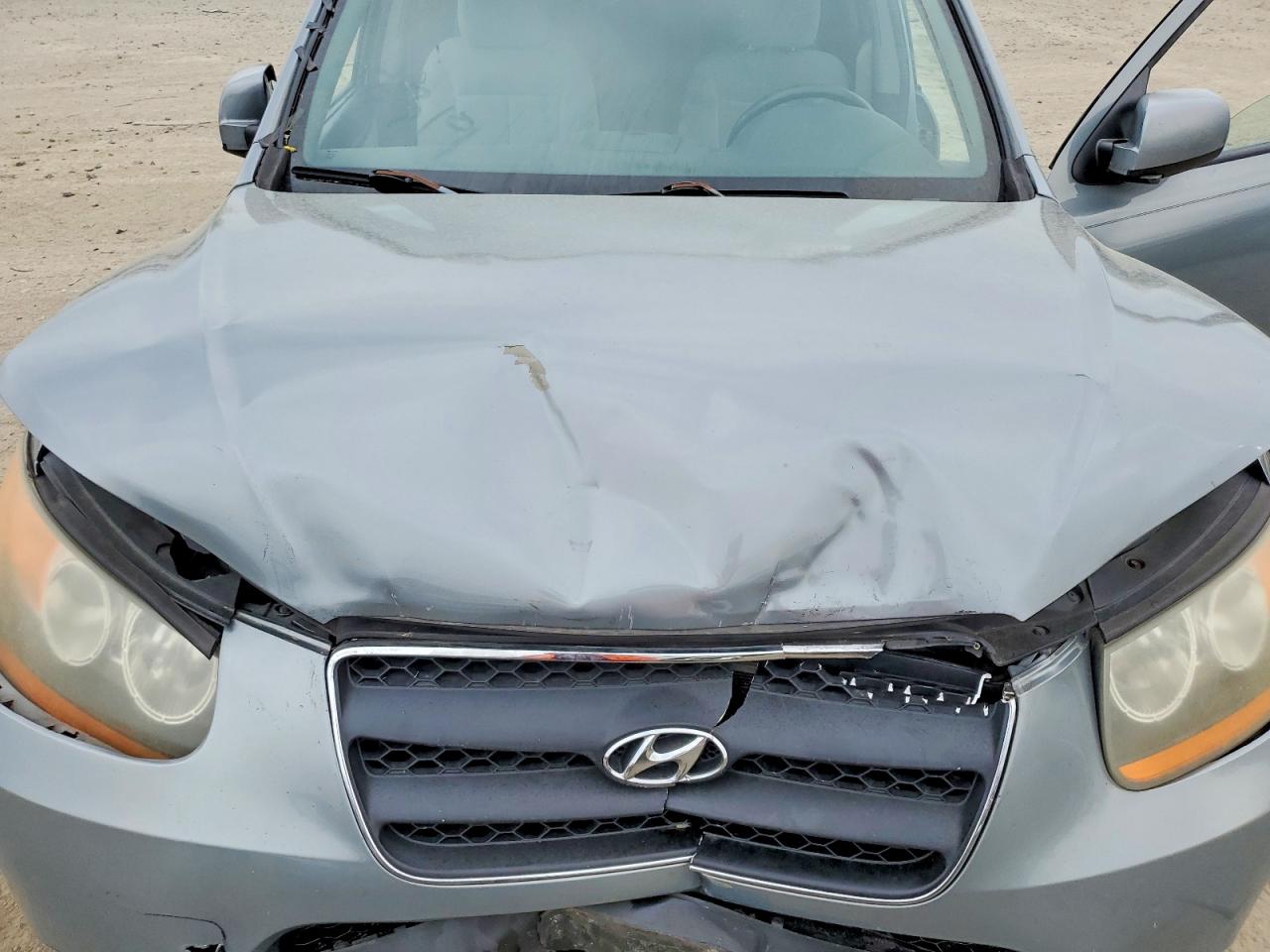 2009 Hyundai Santa Fe Blue vin: 5NMSH13E99H239039