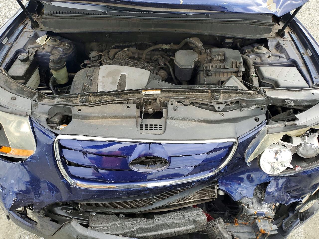 2010 Hyundai Santa Fe Se Blue vin: 5NMSH4AG0AH388756