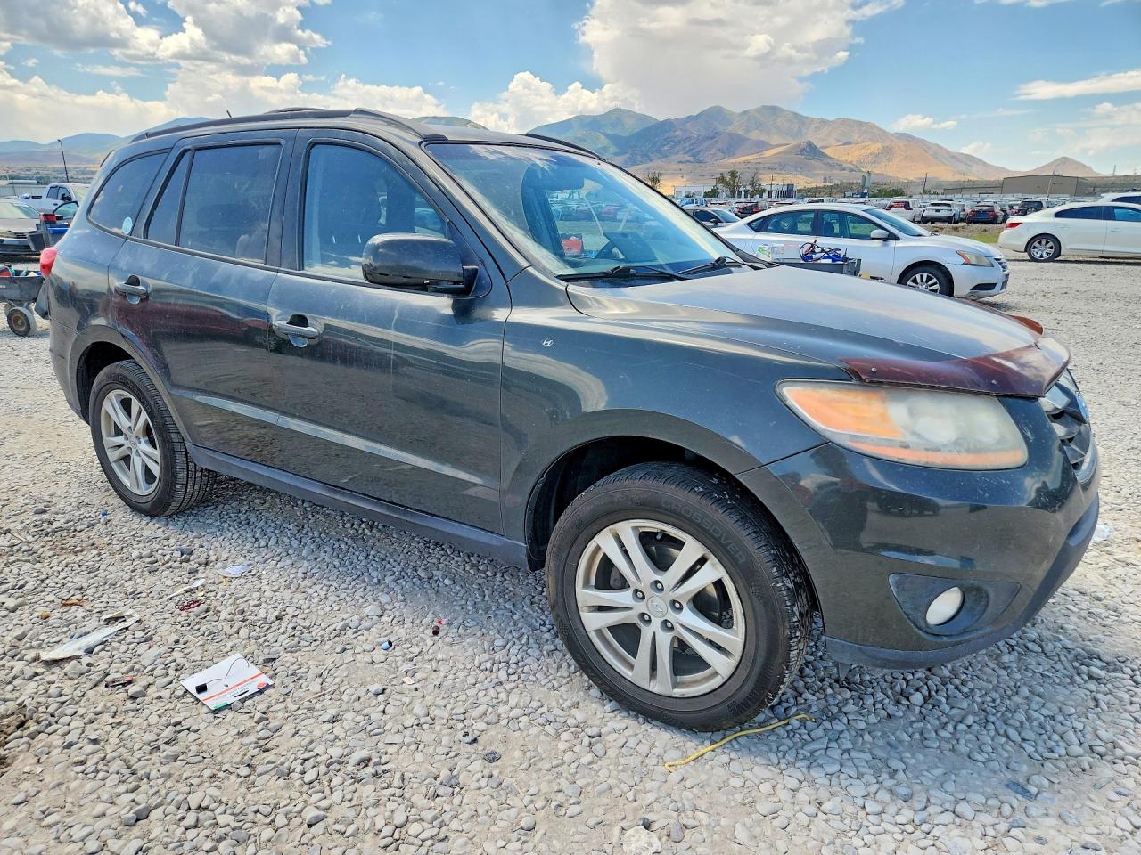 2010 Hyundai Santa Fe Se Gray vin: 5NMSH4AG5AH342209