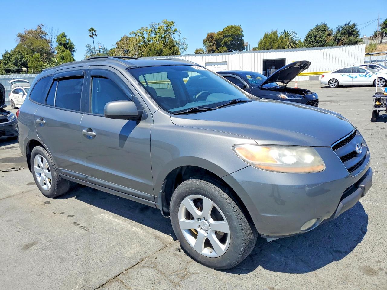 2009 Hyundai Santa Fe Se Gray vin: 5NMSH73E09H276533