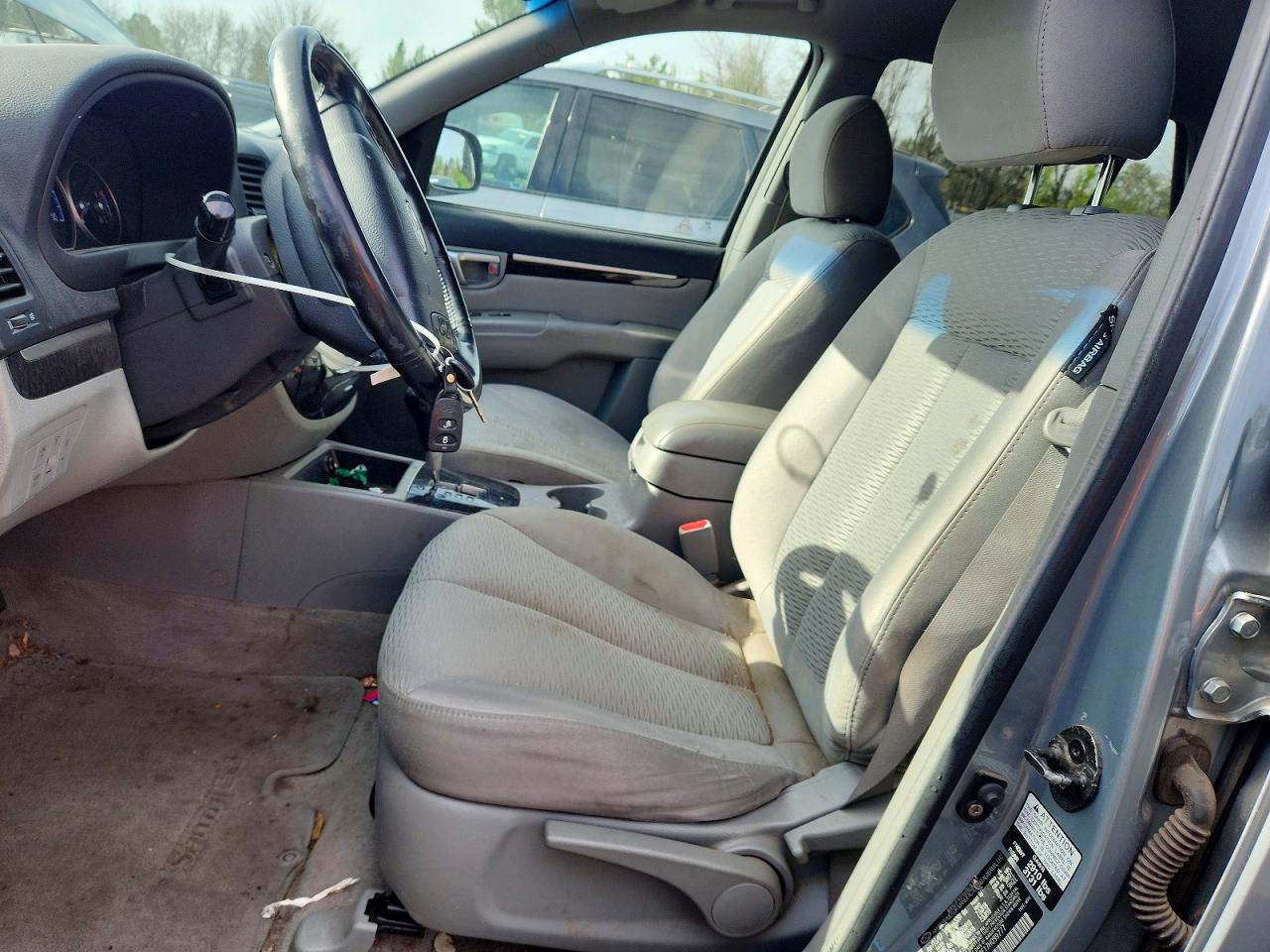 2007 Hyundai Santa Fe Se Turquoise vin: 5NMSH73E17H099777