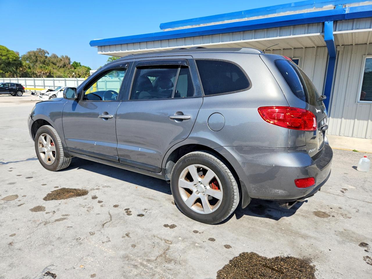 2009 Hyundai Santa Fe Se Gray vin: 5NMSH73E19H304470