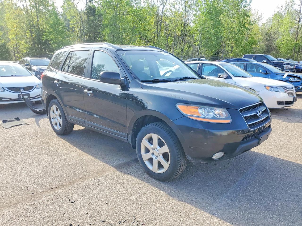 2009 Hyundai Santa Fe Se Black vin: 5NMSH73E19H310723