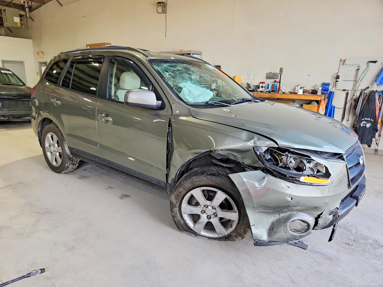 2008 Hyundai Santa Fe Se Green vin: 5NMSH73E78H204369
