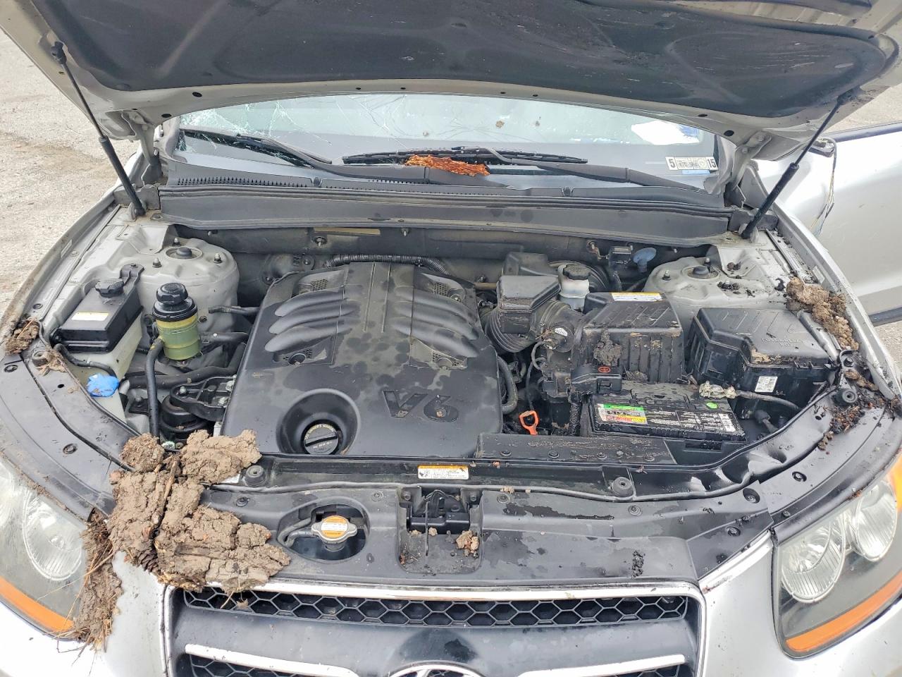 2008 Hyundai Santa Fe Se Silver vin: 5NMSH73E78H223312