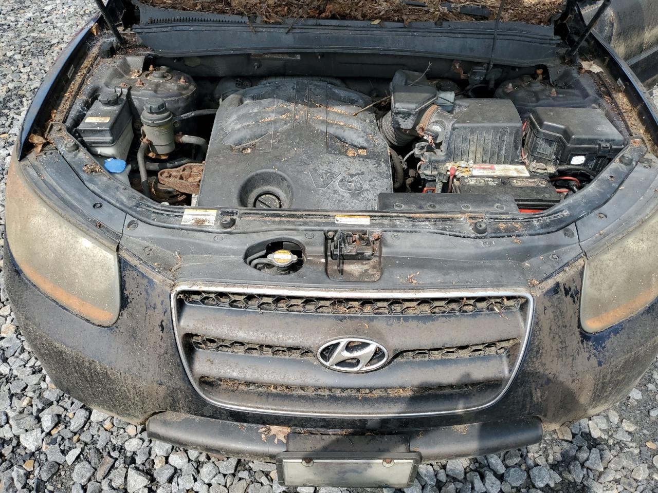 2009 Hyundai Santa Fe Se Blue vin: 5NMSH73E79H250057