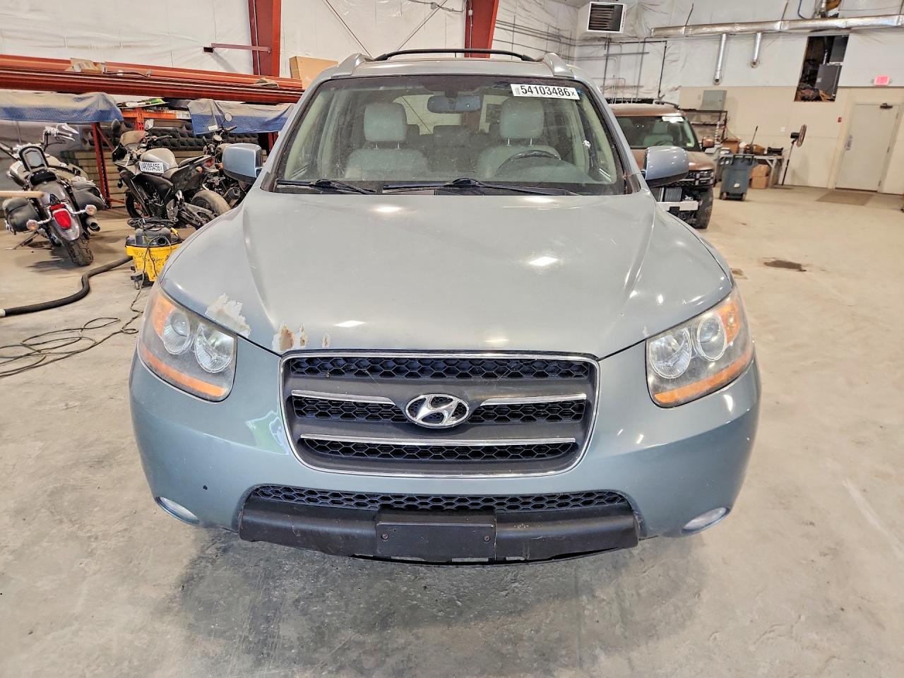 2009 Hyundai Santa Fe Blue vin: 5NMSH73E99H308511