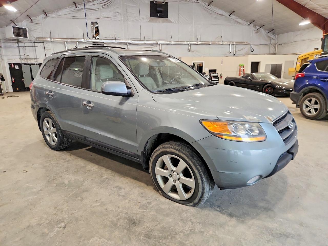2009 Hyundai Santa Fe Blue vin: 5NMSH73E99H308511