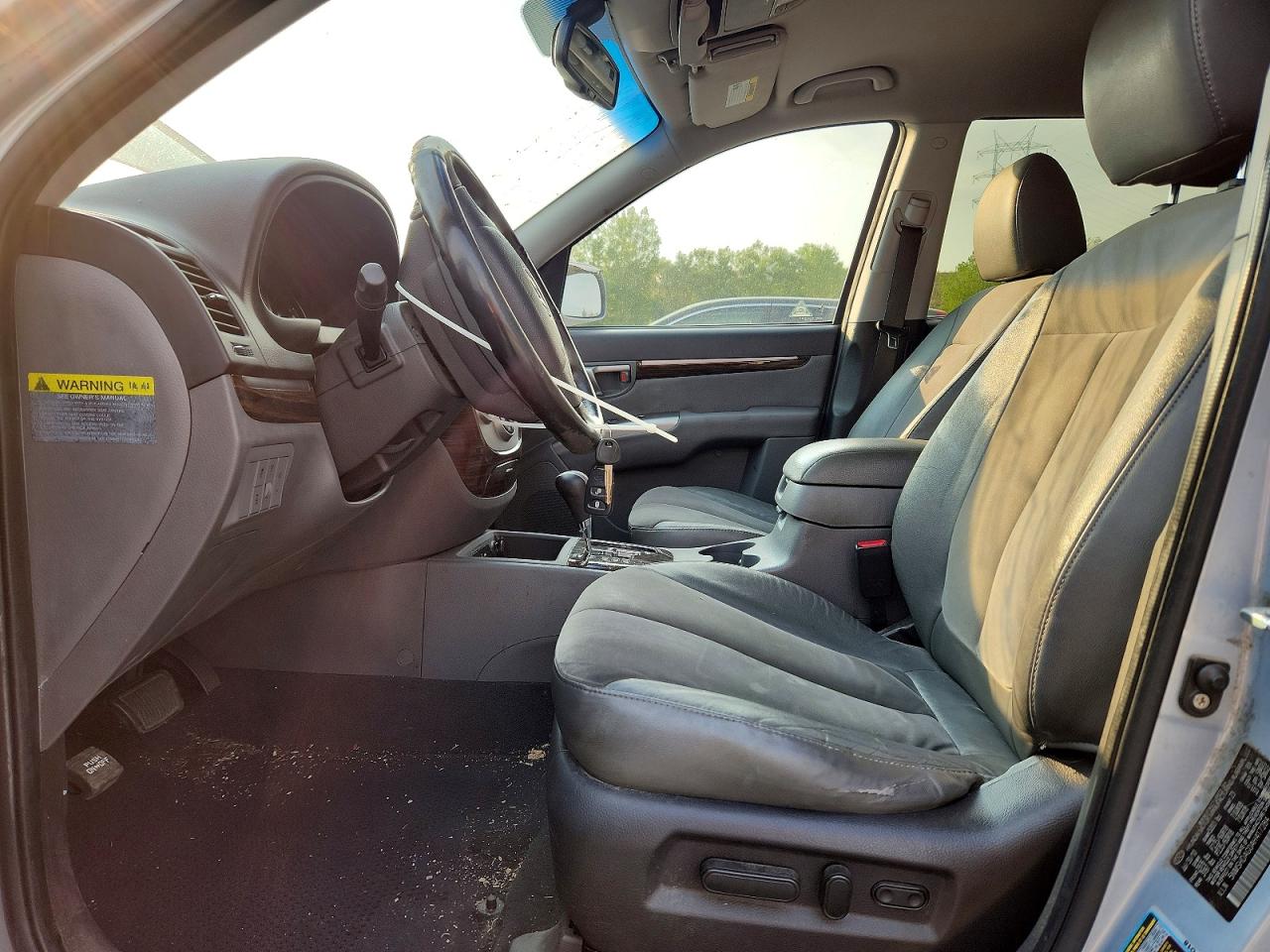 2010 Hyundai Santa Fe Se Silver vin: 5NMSHDAG0AH417284