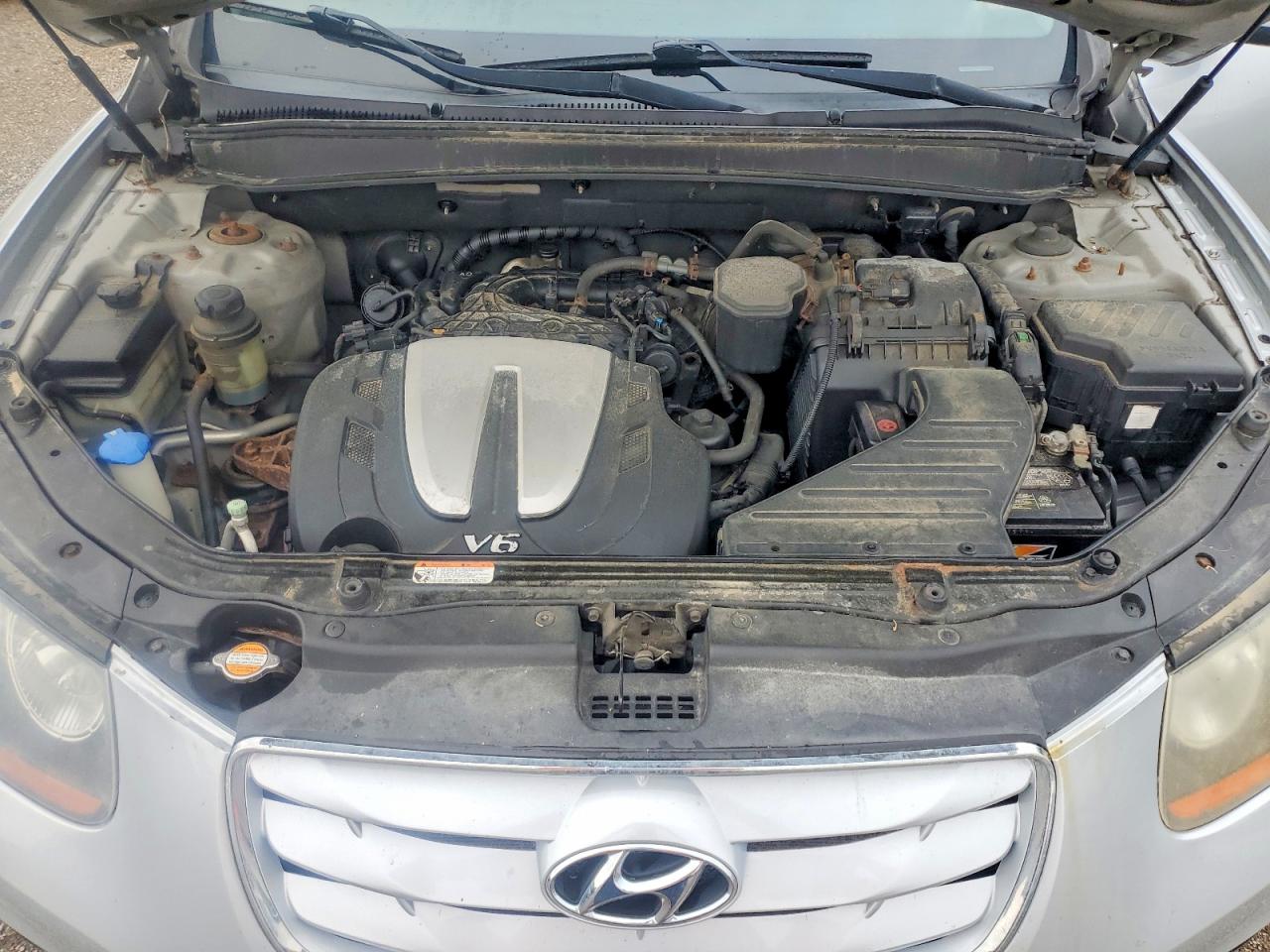 2010 Hyundai Santa Fe Se Silver vin: 5NMSHDAG7AH407111