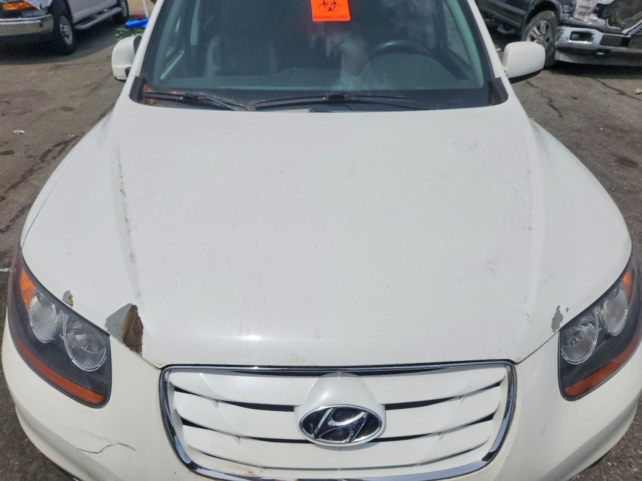 2010 Hyundai Santa Fe Se White vin: 5NMSHDAGXAH409063