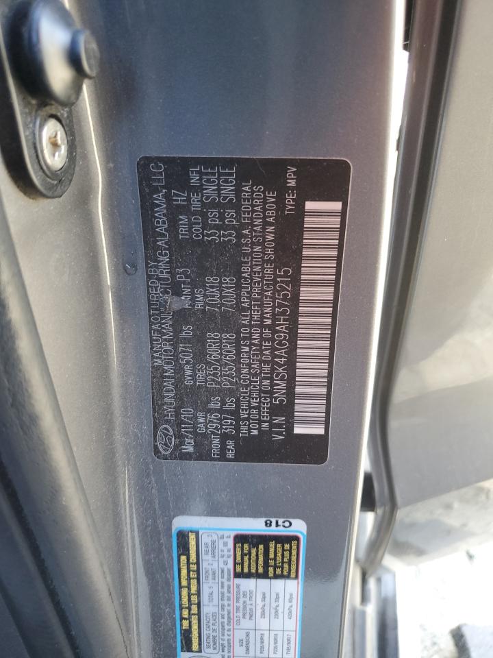2010 Hyundai Santa Fe Limited Gray vin: 5NMSK4AG9AH375215