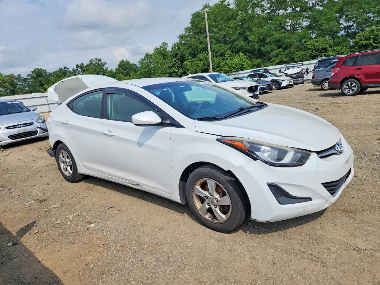 2015 Hyundai Elantra Se White vin: 5NPDH4AE0FH621150