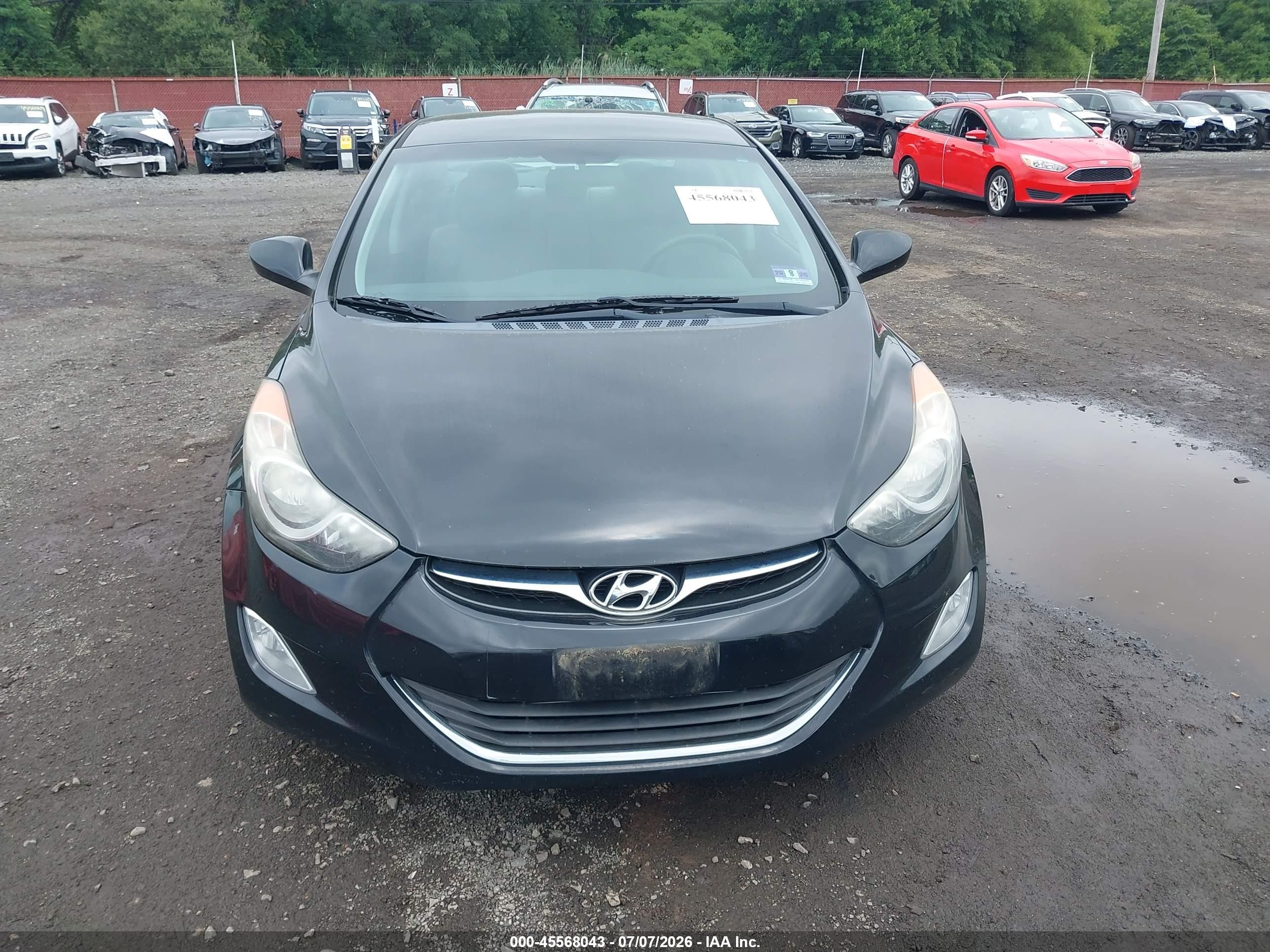 2013 Hyundai Elantra Gls Black vin: 5NPDH4AE1DH377148