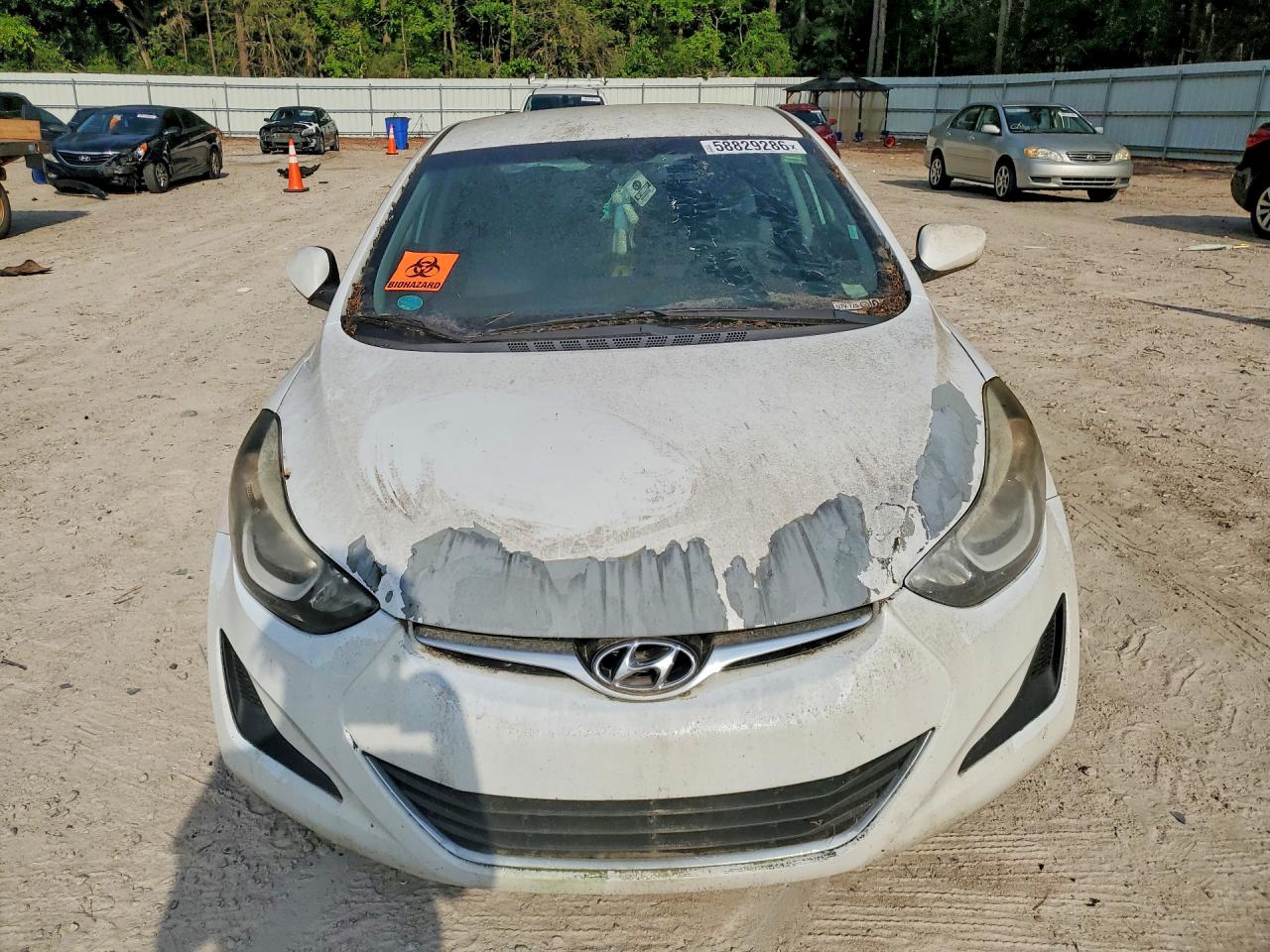 2015 Hyundai Elantra Se White vin: 5NPDH4AE1FH589390