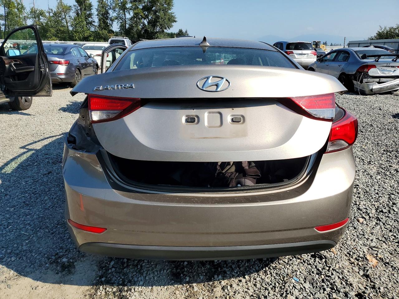 2014 Hyundai Elantra Se Gold vin: 5NPDH4AE3EH528444