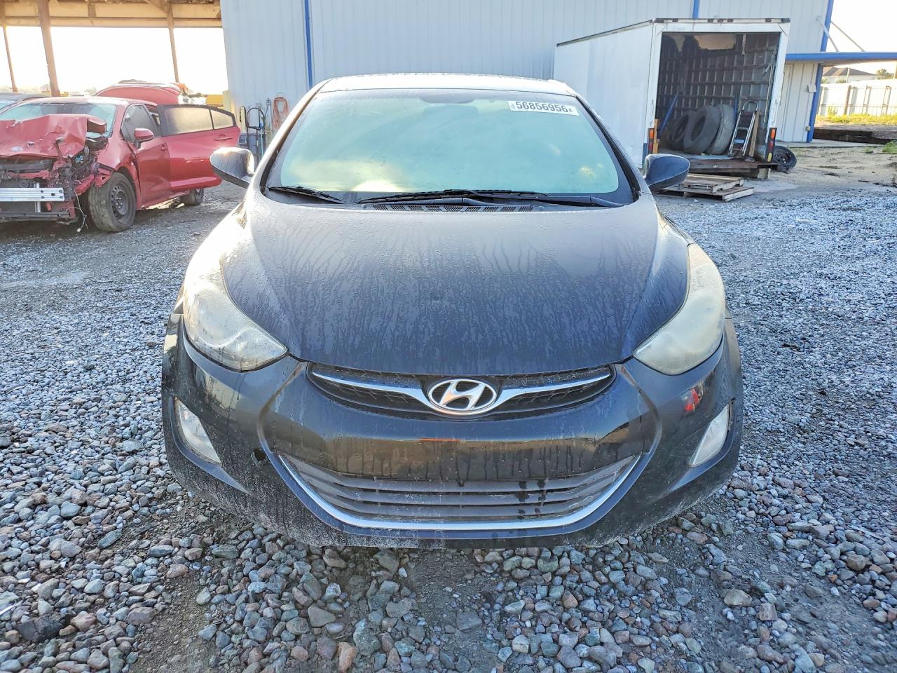 2013 Hyundai Elantra Gls Black vin: 5NPDH4AE4DH398558