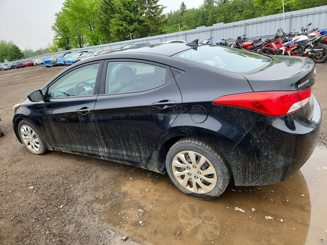 2013 Hyundai Elantra Gls Black vin: 5NPDH4AE6DH163353