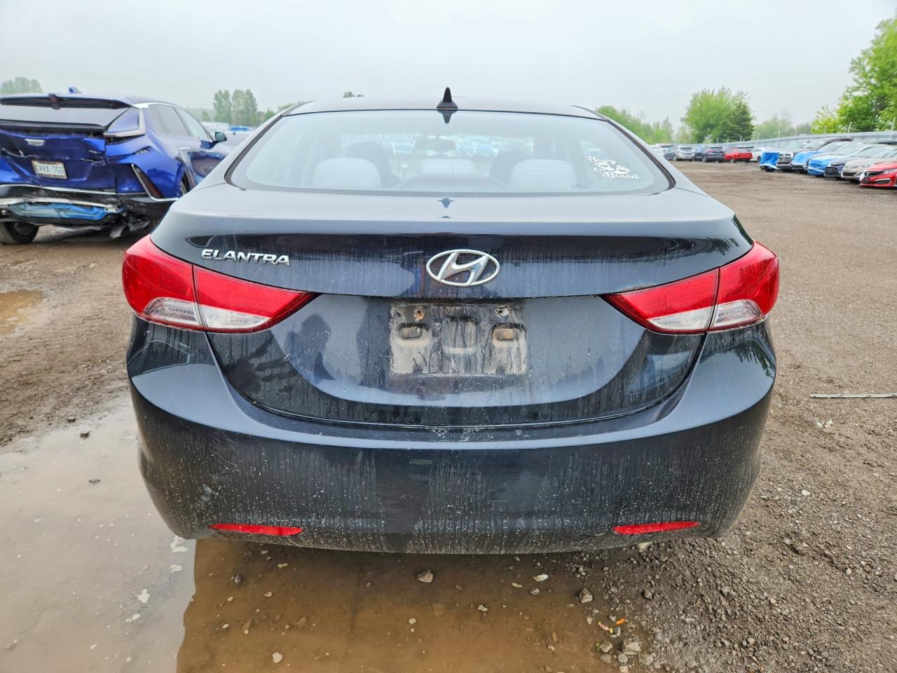 2013 Hyundai Elantra Gls Black vin: 5NPDH4AE6DH163353