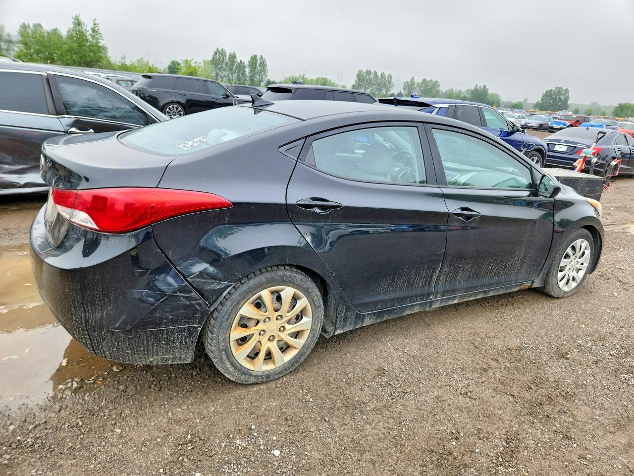 2013 Hyundai Elantra Gls Black vin: 5NPDH4AE6DH163353