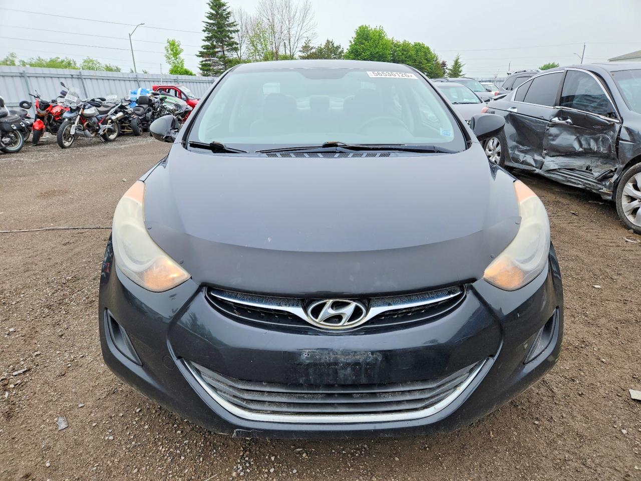 2013 Hyundai Elantra Gls Black vin: 5NPDH4AE6DH163353