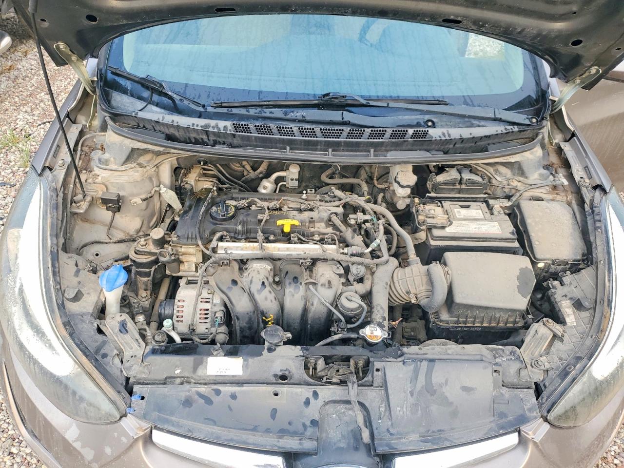 2014 Hyundai Elantra Se Gold vin: 5NPDH4AE9EH502625