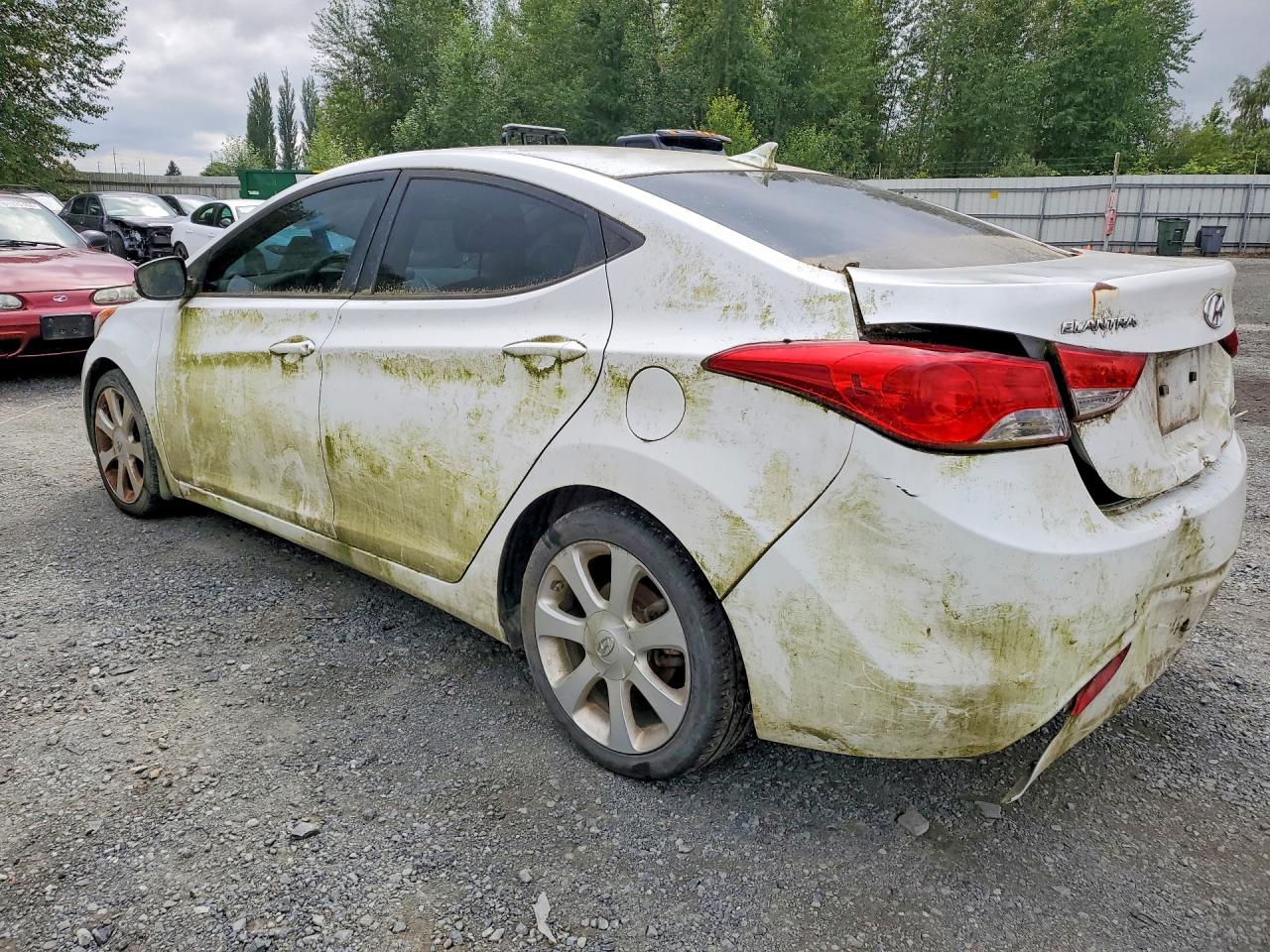 2013 Hyundai Elantra Limited White vin: 5NPDH4AEXDH215941