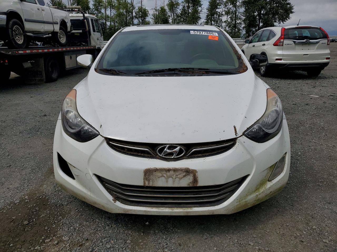2013 Hyundai Elantra Limited White vin: 5NPDH4AEXDH215941