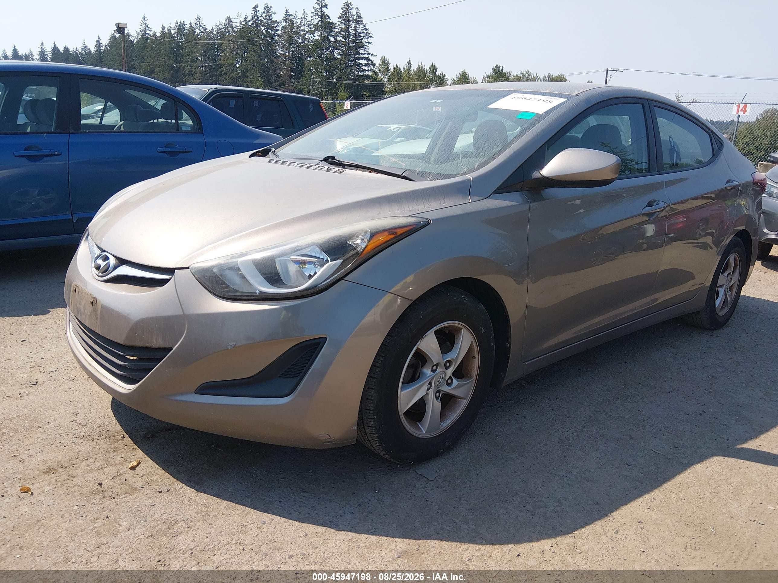 2014 Hyundai Elantra Se Gold vin: 5NPDH4AEXEH526822