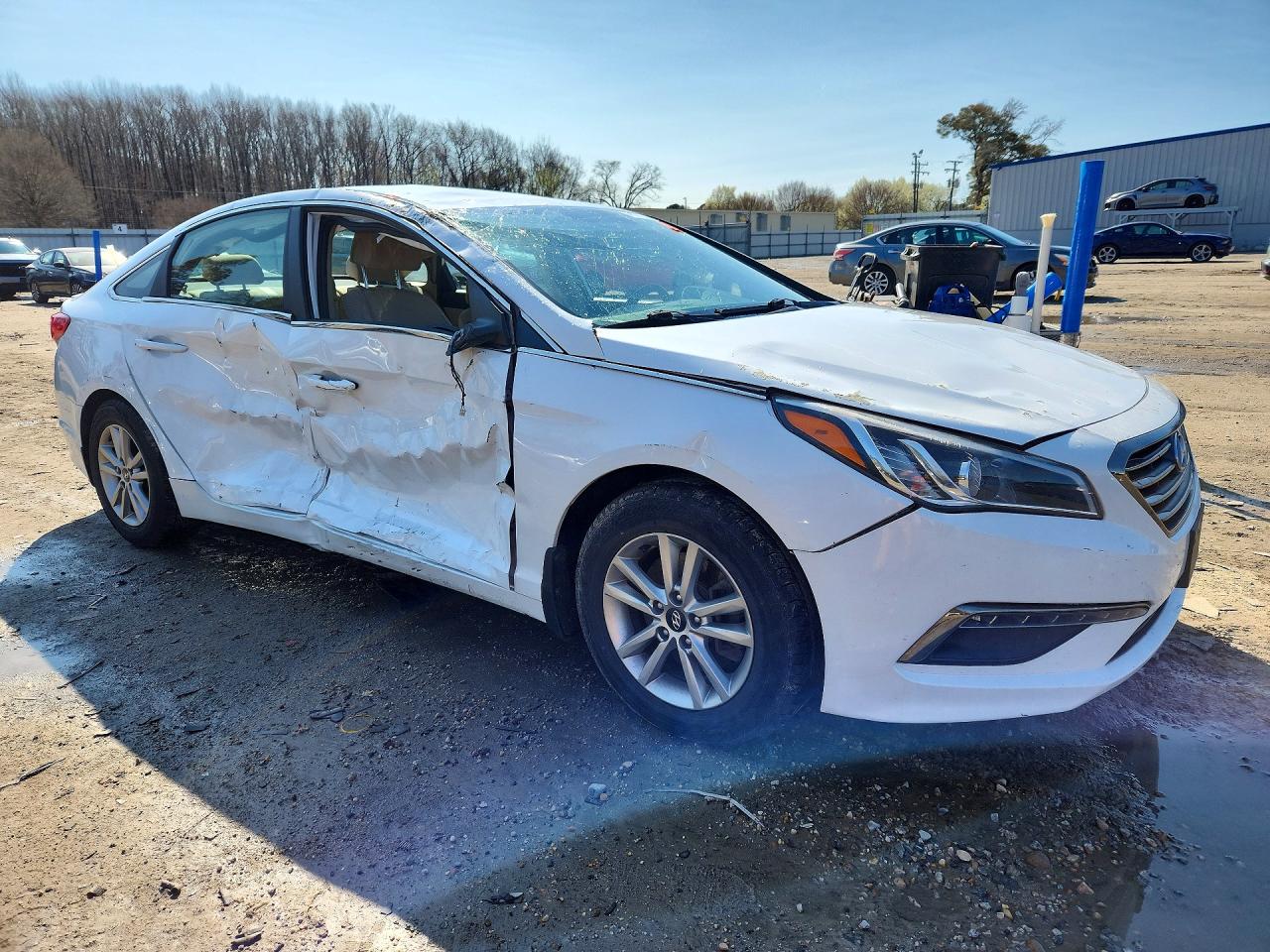 2015 Hyundai Sonata White vin: 5NPE24AA6FH139530