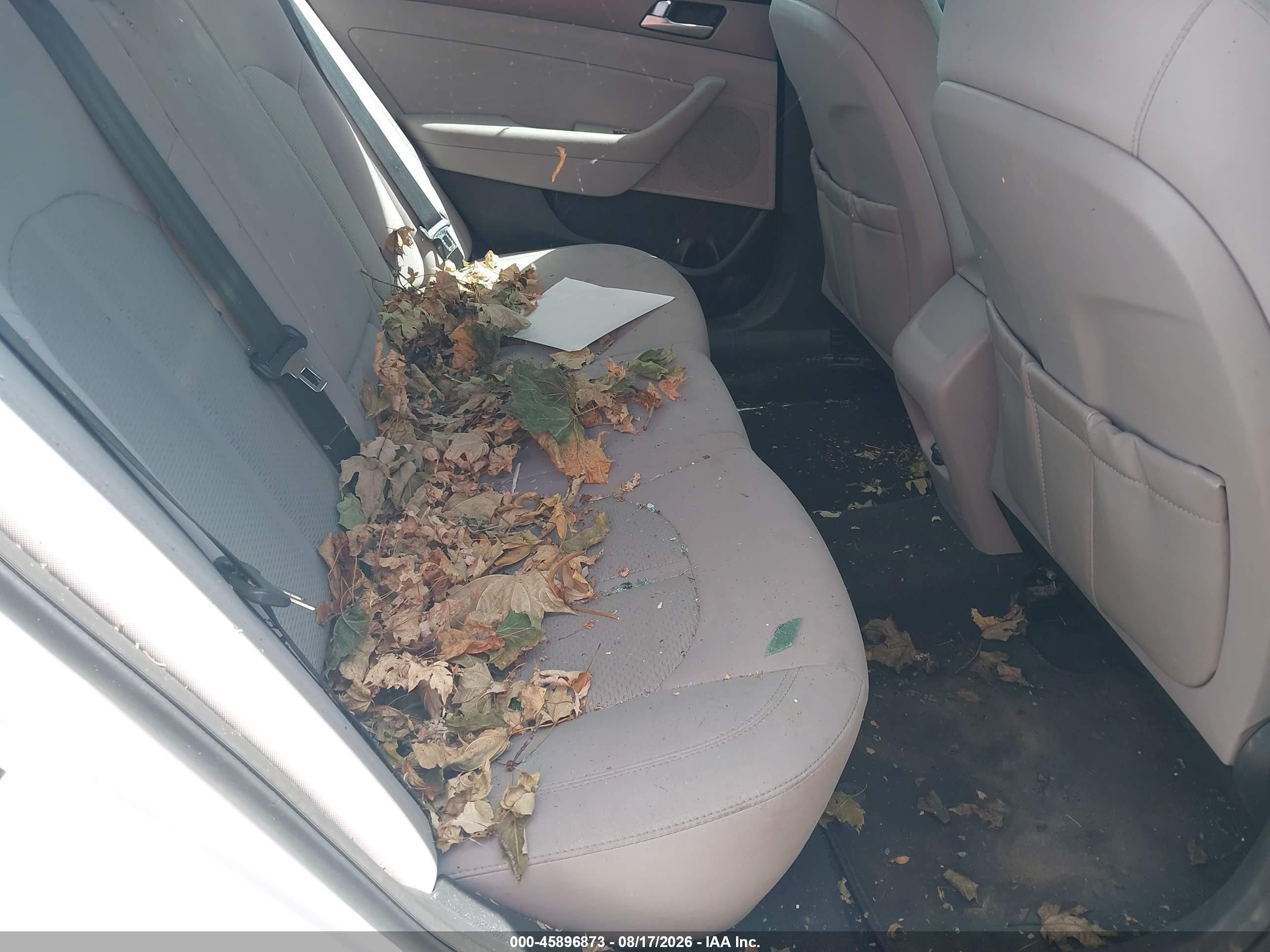 2015 Hyundai Sonata Se Белый vin: 5NPE24AF0FH022005