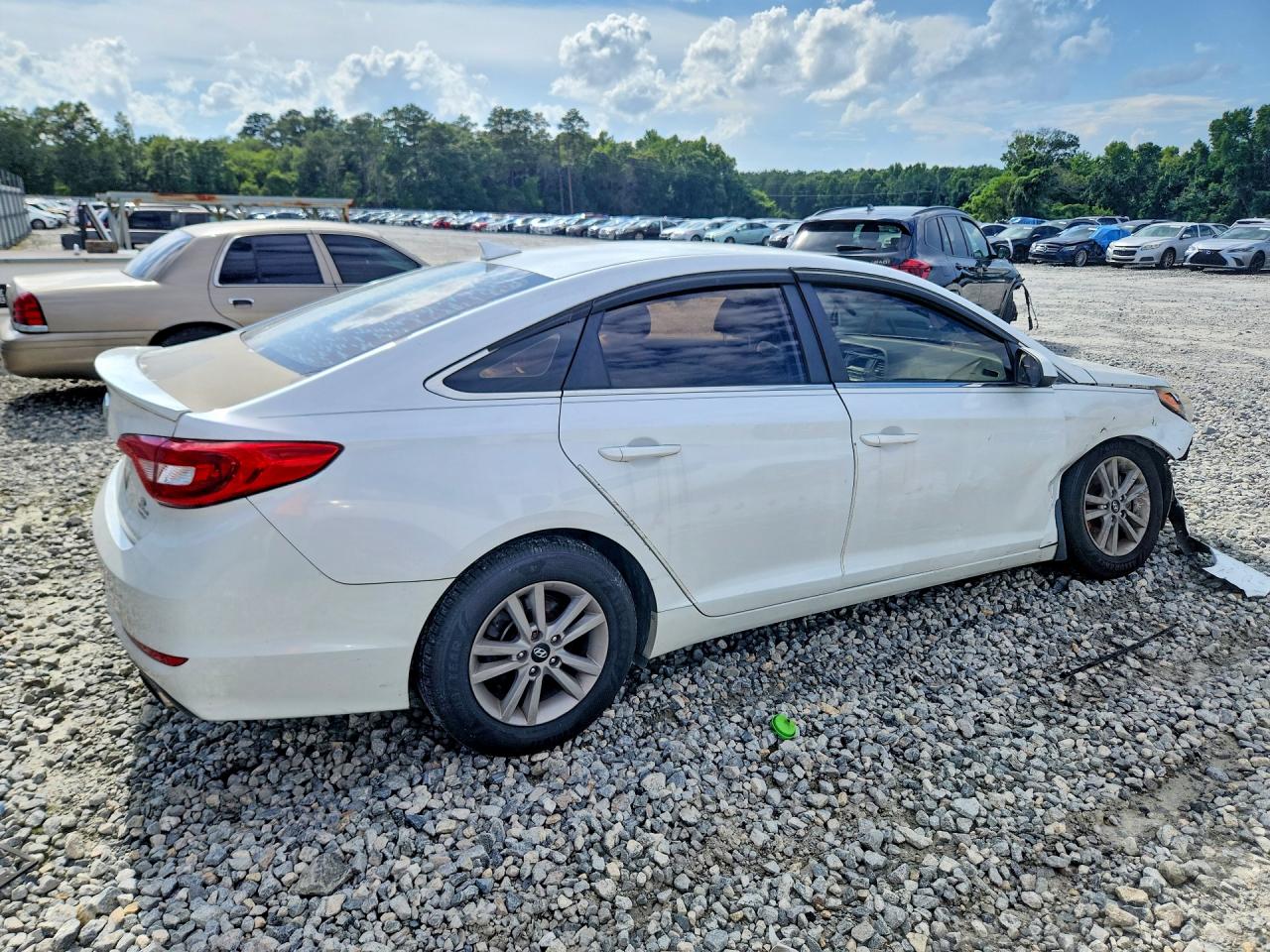 2015 Hyundai Sonata Se White vin: 5NPE24AF0FH202360