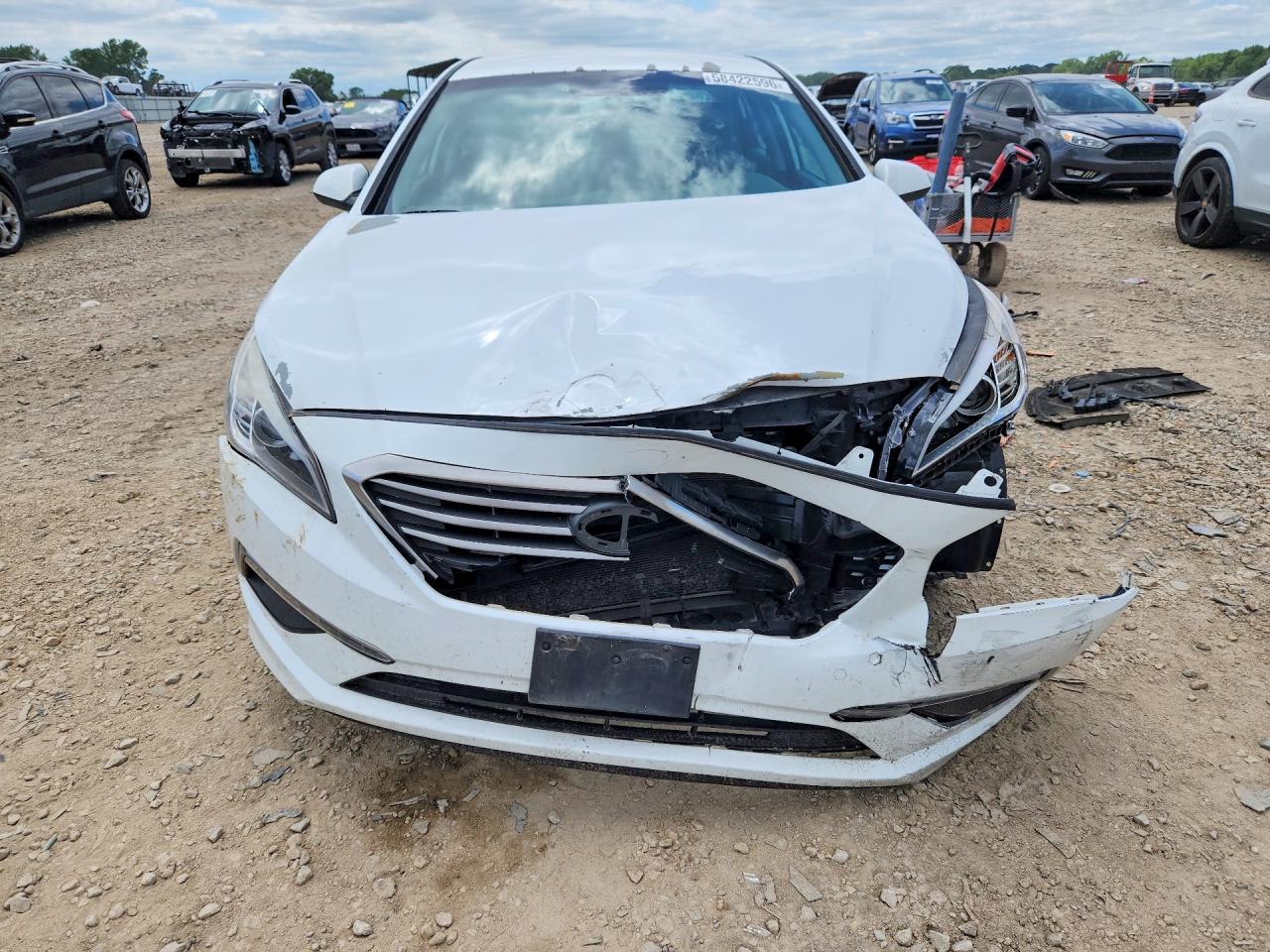 2015 Hyundai Sonata White vin: 5NPE24AF2FH000930