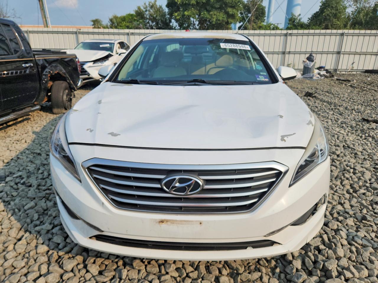 2015 Hyundai Sonata Se White vin: 5NPE24AF2FH156353