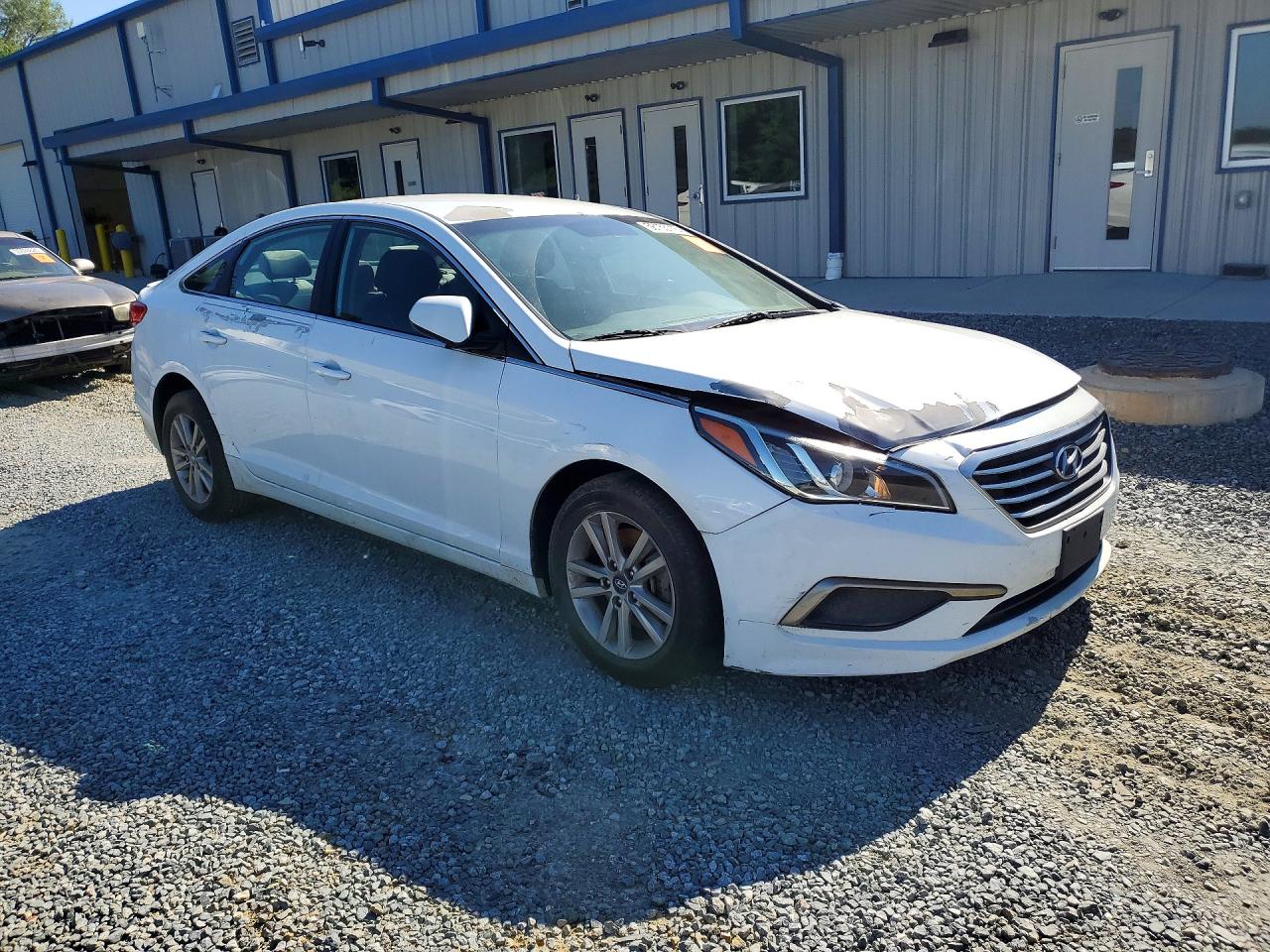2016 Hyundai Sonata Se Белый vin: 5NPE24AF3GH303457