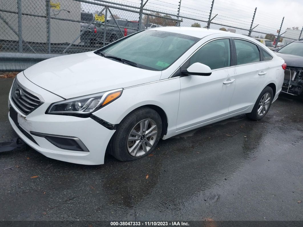 2016 Hyundai Sonata Se White vin: 5NPE24AF5GH366351